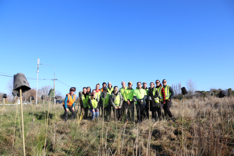 A Day of Planting and Celebration: Honoring Matariki at Waikākāriki/Horseshoe Lake